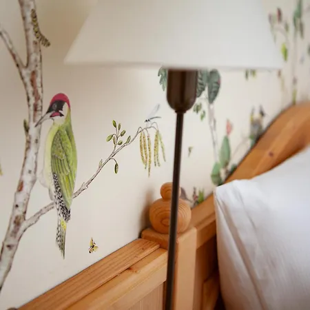 Hotel Elfbuchen Kassel