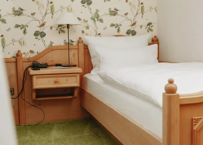 Elfbuchen Hotel Kassel