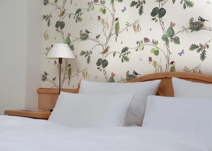 爱凤晨酒店 4* 卡塞尔